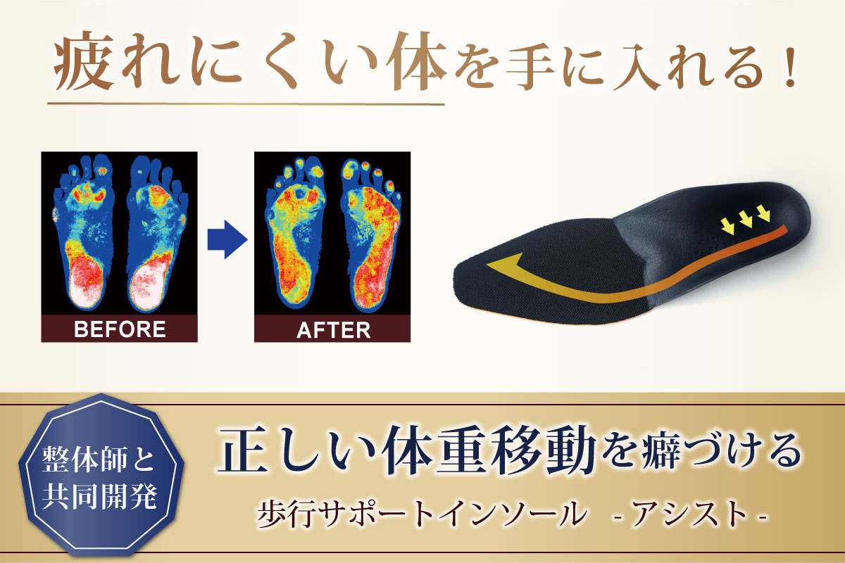 正しい体重移動をサポートアシストインソール 1足分