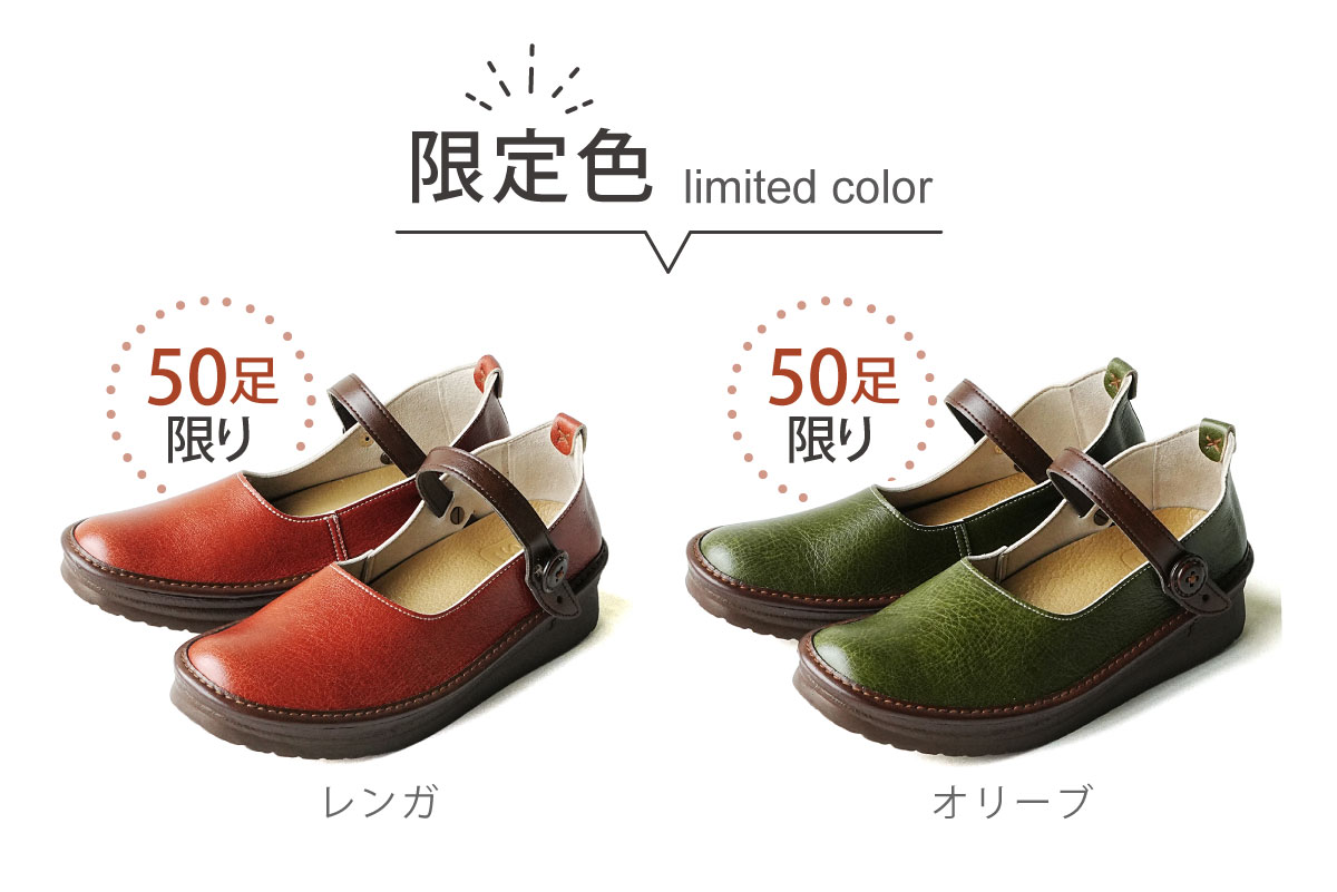 カラー画像限定色