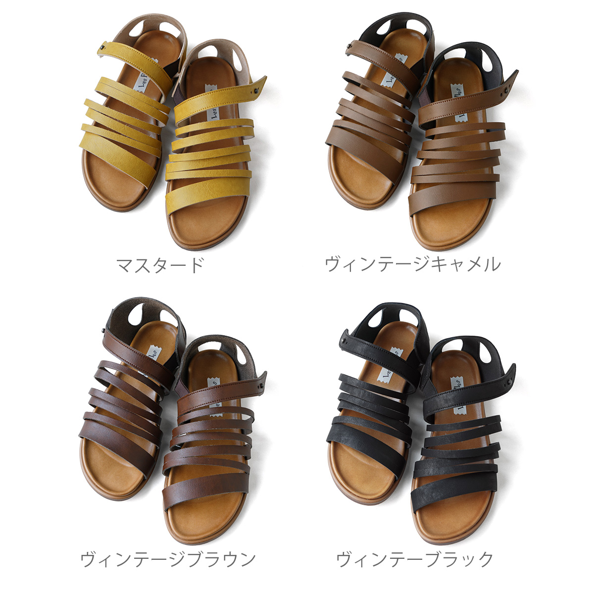 カラー画像