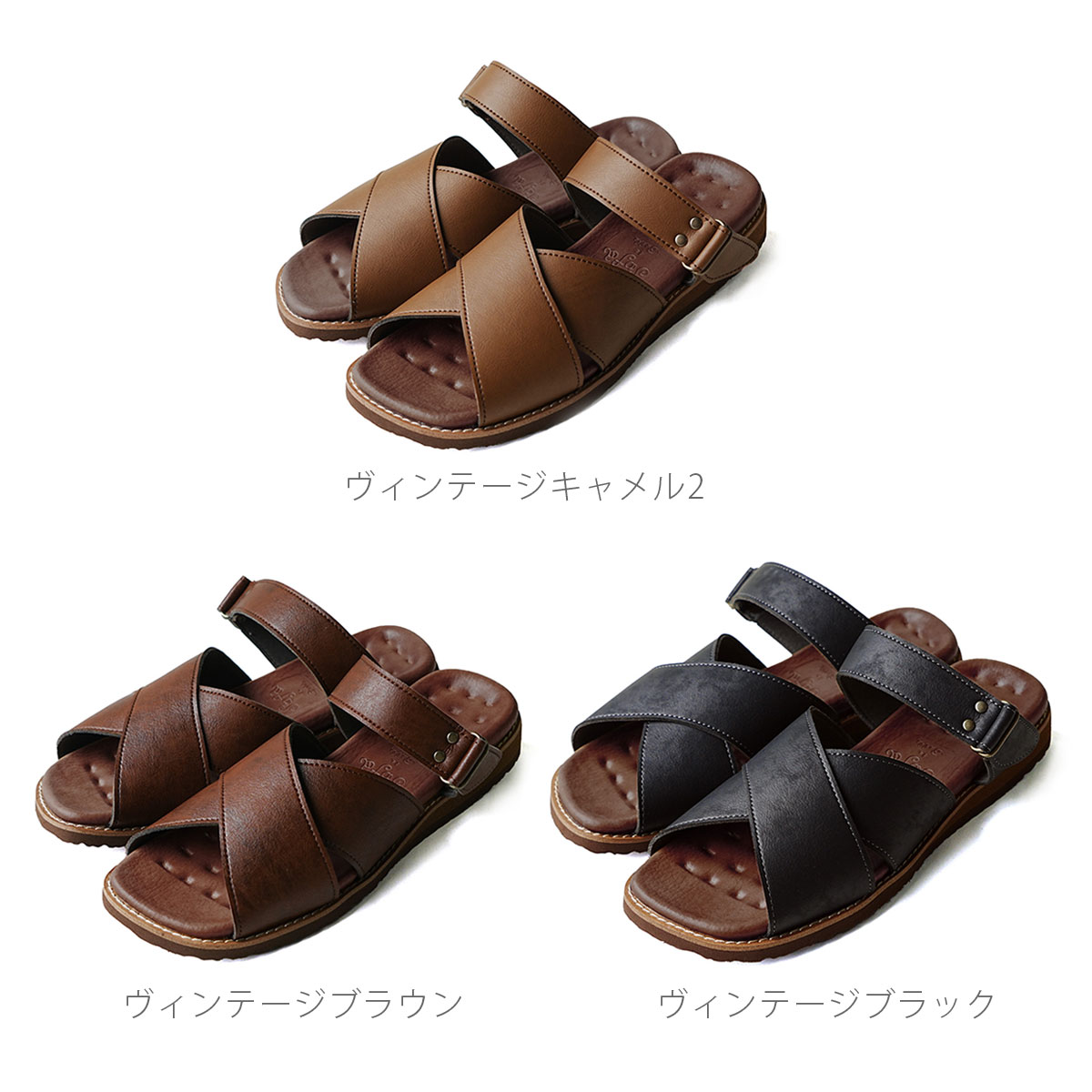 カラー画像